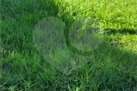 Terreno à venda no condomínio Altos do Jaraguá, Araraquara - SP