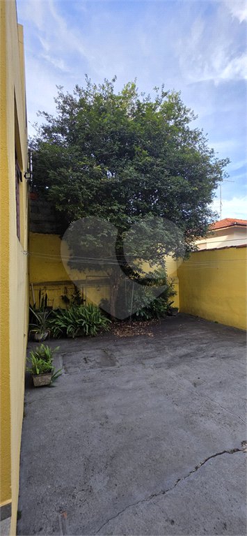 Sobrado à venda com 3 quartos em Santa Terezinha, São Paulo, SP