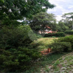 Terreno à venda em Tremembé, São Paulo, SP