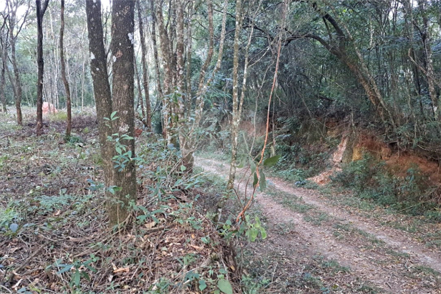 Terreno à venda em Serra da Cantareira, Mairiporã, SP