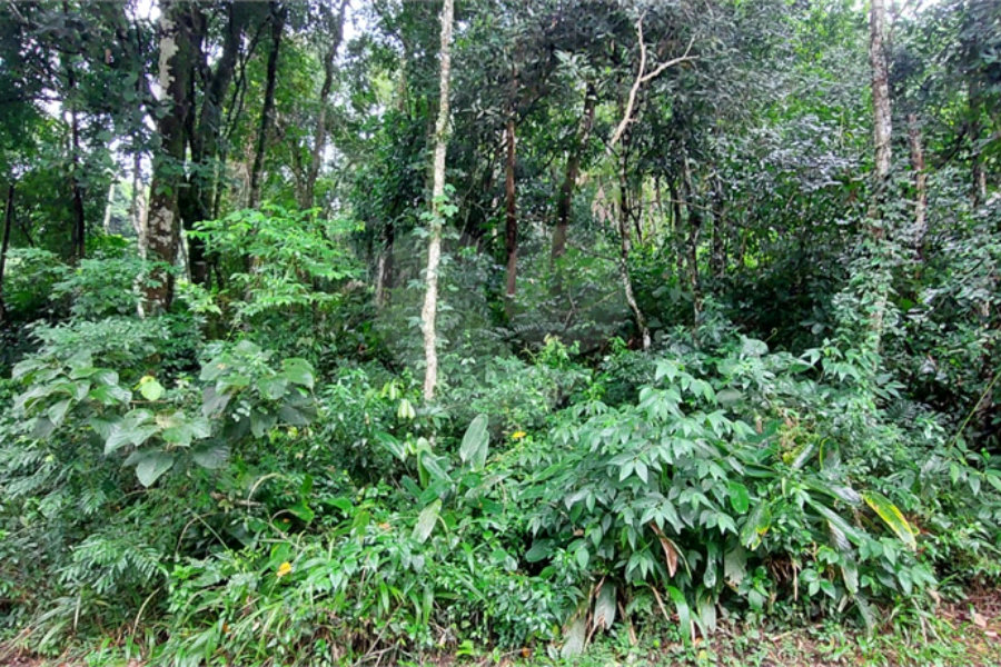 Terreno à venda no condomínio Sausalito, Mairiporã - SP