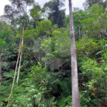 Terreno à venda no condomínio Sausalito, Mairiporã - SP