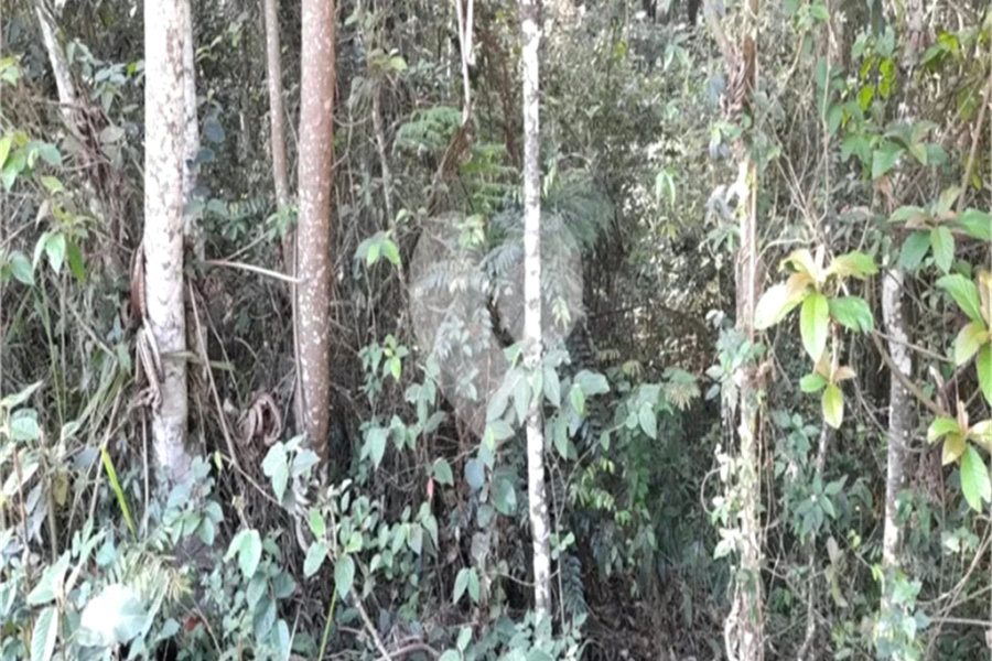 Terreno à venda em Roseira, Mairiporã, SP