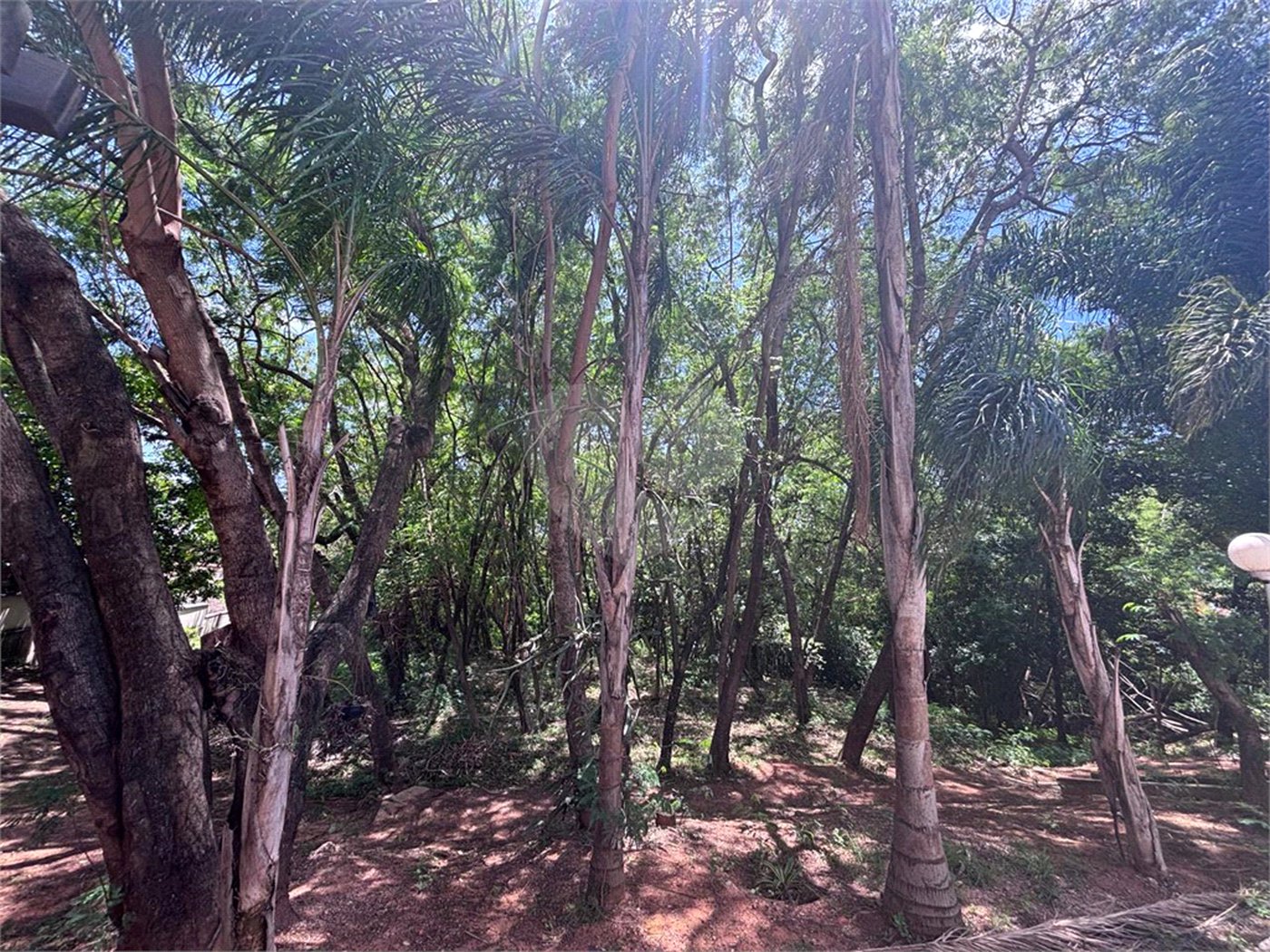 Apartamento à venda com 2 quartos em Vila Haro, Sorocaba, SP