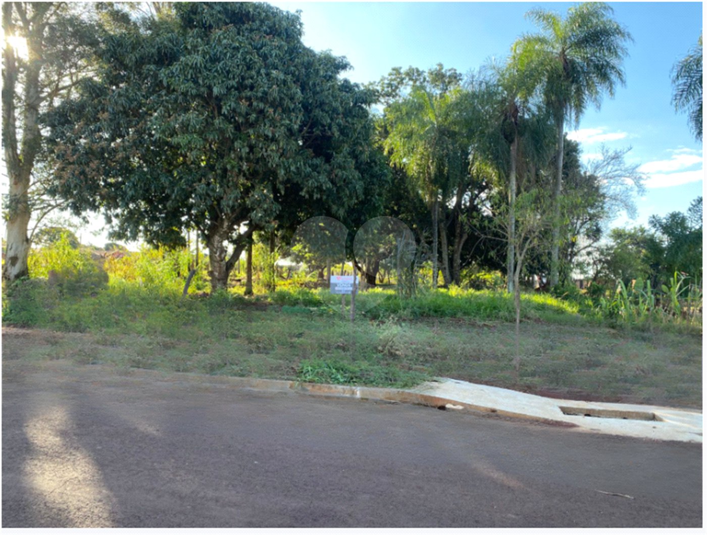 Terreno à venda em Jardim Coimbra, Ponta Porã, MS