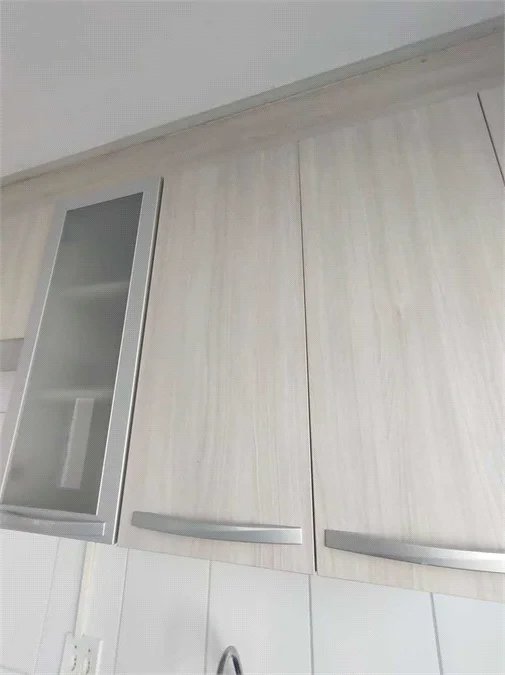 Apartamento à venda com 2 quartos em Santa Maria, Osasco, SP