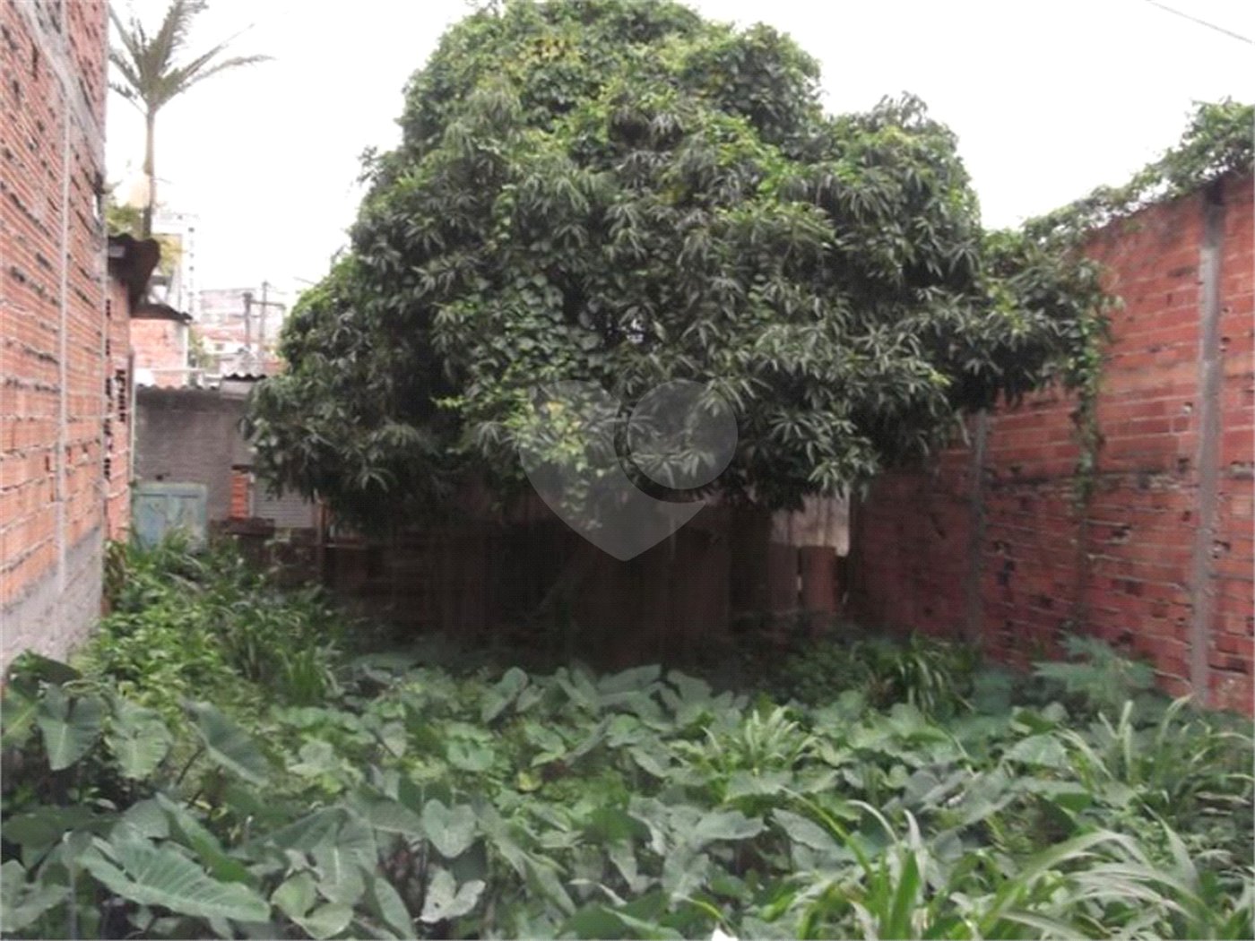 TERRENO A VENDA EM SP SACOMÃ
