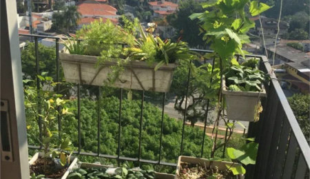 Apartamento à venda com 2 quartos em Vila Progredior, São Paulo, SP