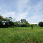 Terreno à venda em Jardim Patriarca, Ribeirão Preto, SP