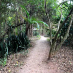 Casa à venda com 3 suítes no condomínio Village Ipanema I, Araçoiaba da Serra - SP