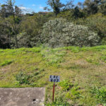 Terreno à venda em Bosque, Vinhedo, SP