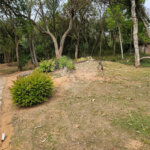 Terreno à venda em Curral, Ibiúna, SP
