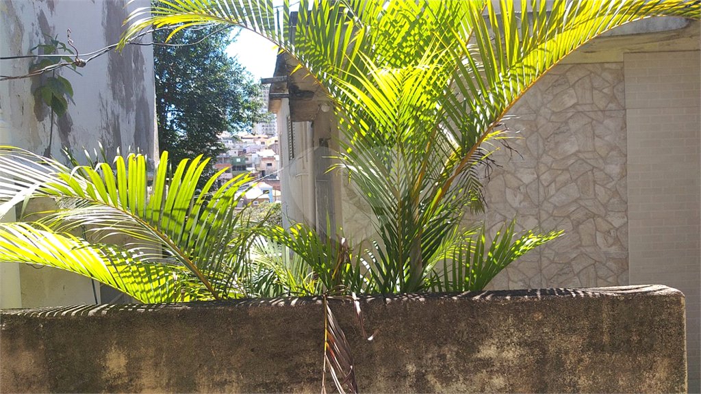 Casa à venda com 5 quartos em Imirim, São Paulo, SP