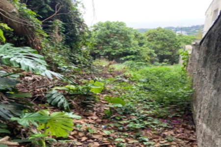Terreno à venda em Jardim Leonor, São Paulo, SP
