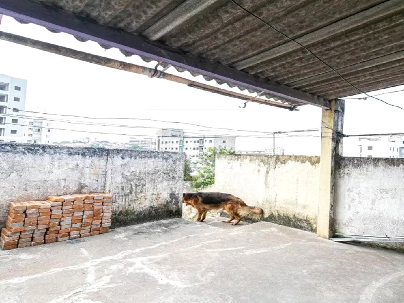 Casa à venda na Vila Matilde, 3 quartos, 2 garagens