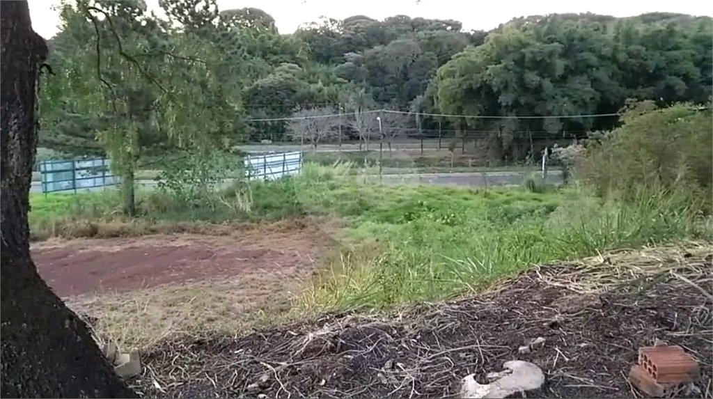 Terreno com 453,50 m² de área total.