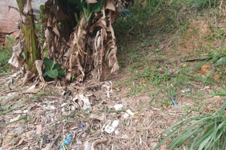 Terreno à venda em Vila Indiana, São Paulo, SP