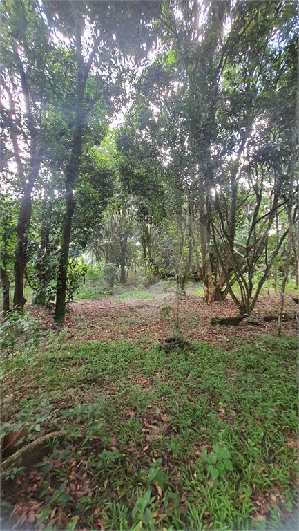 Chácara - São Carlos