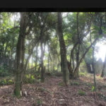 Terreno à venda em Jardim Peri Peri, São Paulo, SP