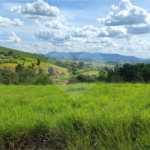 GLEBAS RURAIS EM PIRACAIA A PARTIR 20.000 M², EXCELENTE PARA CHÁCARAS E FAZENDINHAS