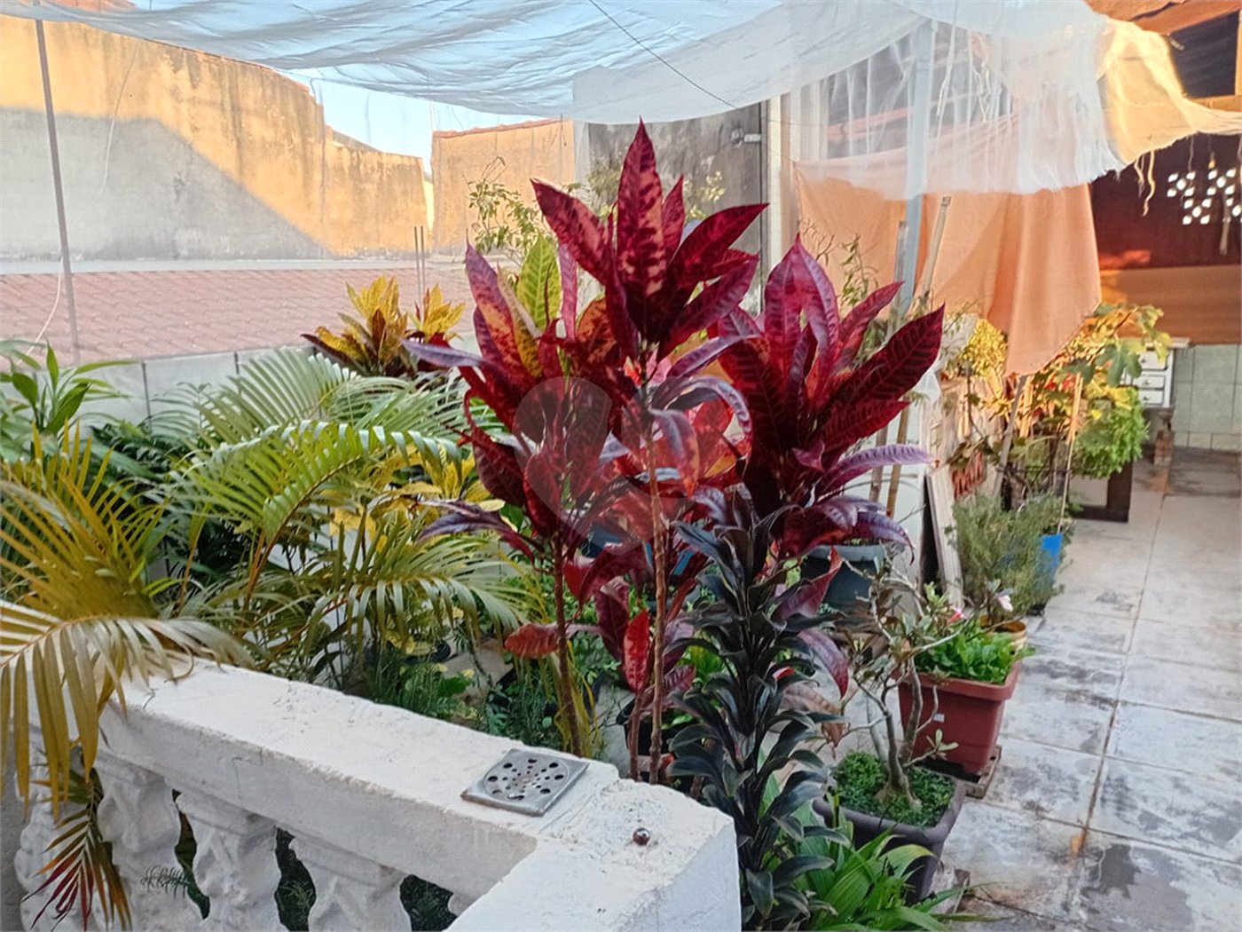 Sobrado 5 quartos.