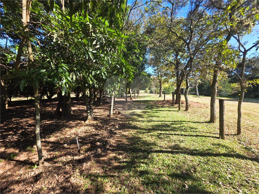 Sitio Granjeiro região de Água Vermelha 6,5 Alqueires (16,5 Hectares)