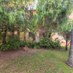 Casa Térrea 5 quartos bem localizada com piscina.