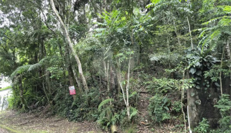 Terreno à venda no condomínio Alpes da Cantareira, Mairiporã - SP
