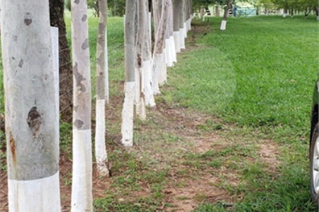Sitio para venda.