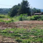 Terreno em Atibaia com 4.800 metros, pronto para construir, topografia plana, aceita financiamento