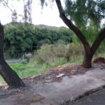 Terreno com 453,50 m² de área total.