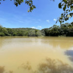 Casa de Alto Padrão à Venda e Locação - Condomínio Vila Verde