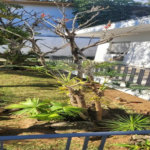 Casa de Alto Padrão à Venda – Campo Belo | São Paulo/SP