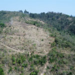 FAZENDA FORTALEZA, Caldas - MG