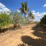 Excelente sitio para venda.