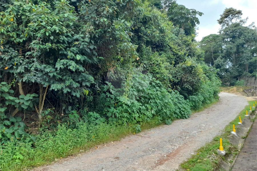Terreno à venda em Serra da Cantareira, Mairiporã, SP