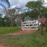 Sitio para venda.