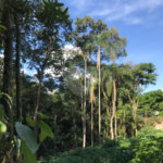 Terreno à venda em Serra da Cantareira, Mairiporã, SP