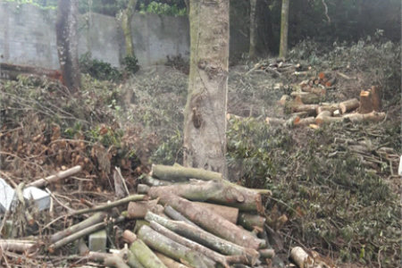 Terreno à venda no condomínio Parque Petrópolis 4 Secção, Mairiporã - SP