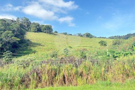 Sítio à venda com 3 quartos, sendo 1 suíte, no Centro, Guararema, SP