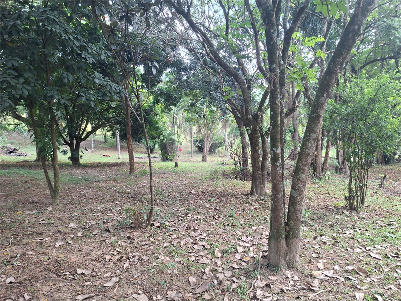 Chácara à venda com 4 quartos em Avecuia, Porto Feliz, SP