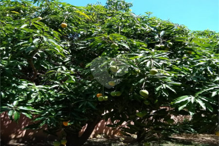 Chácara à venda com 4 suítes em Vale das Laranjeiras, Indaiatuba, SP
