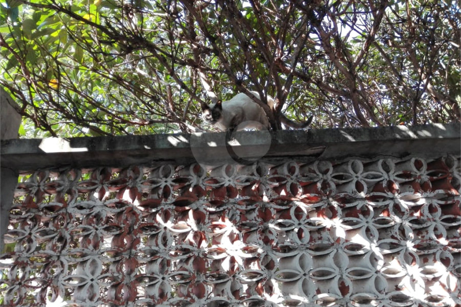 Sobrado à venda com 3 suítes em Parque Vitória, São Paulo, SP