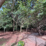 Apartamento à venda com 2 quartos, sendo 1 suíte, em Parque Campolim, Sorocaba, SP