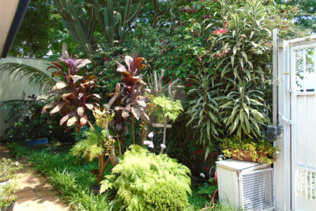 Casa Térrea à venda com 3 quartos em Campo Belo, São Paulo, SP