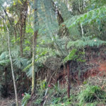 Terreno à venda no condomínio Alpes da Cantareira, Mairiporã - SP
