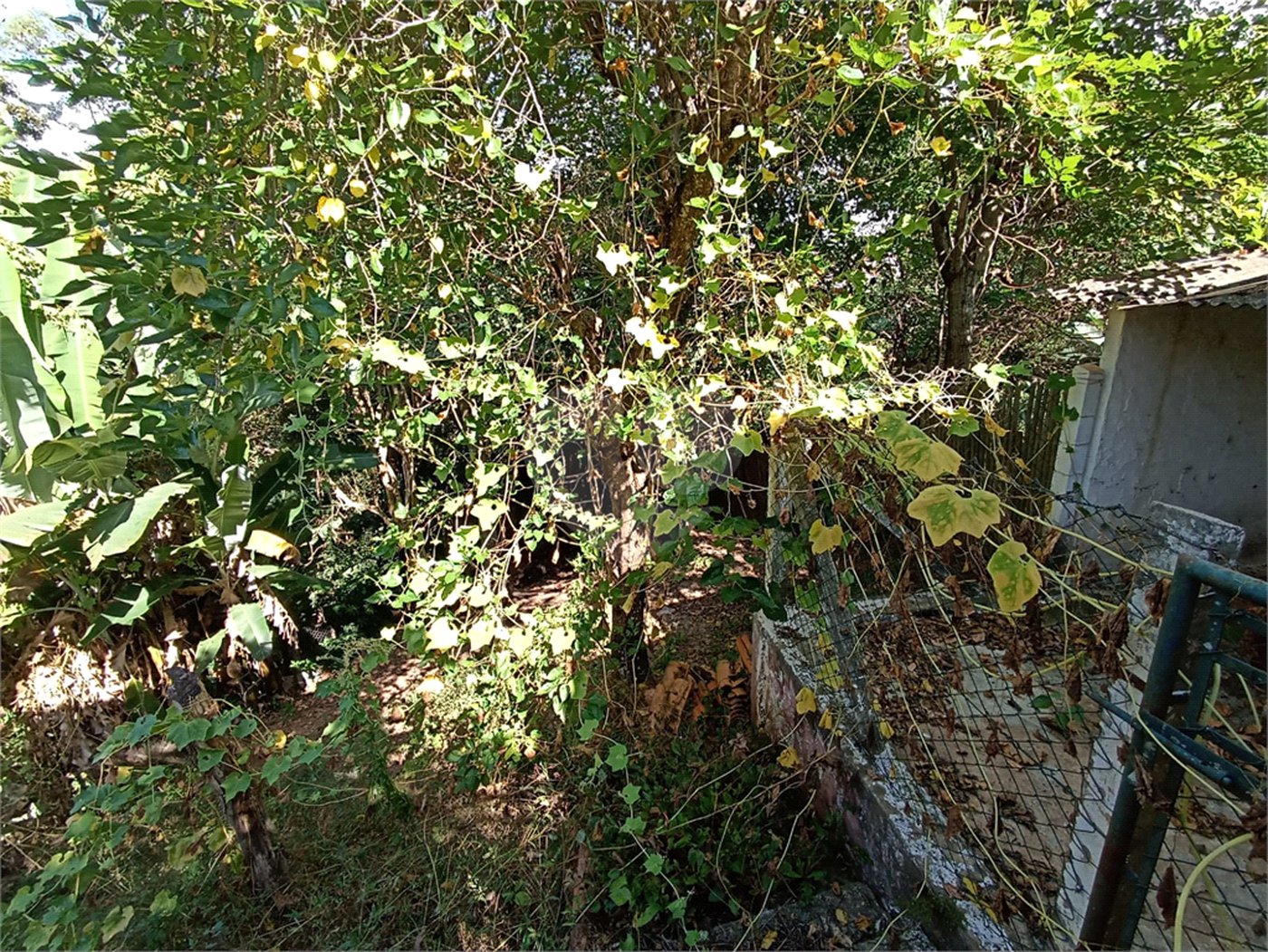 Casa à venda com 5 quartos, sendo 1 suíte, em Jardim Itália, Itapetininga, SP