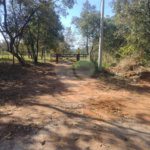 Sítio à venda em Tupinambá, Porto Feliz, SP