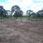 Terreno com 2.012,00 m² .