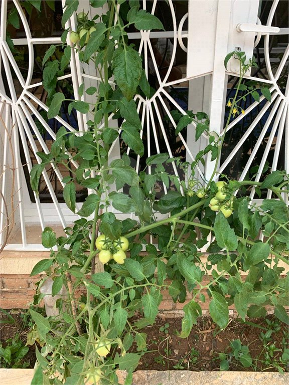 Chácara à venda com 4 quartos, sendo 1 suíte,  em Parque Residencial Atibaia, Atibaia, SP